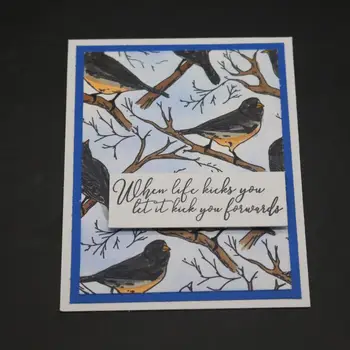 DABOXIBO Птици В Клоните на Прозрачни Печати Форма За Направата на Картички За Scrapbooking със Собствените си Ръце Украса Занаяти 2020 НОВО Записване